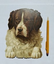 Antique Jumbo St Bernard Dog Die Cut VTC Scrap Embossed picture