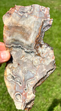 Very Cool Missouri Lace Agate/Crystal Slab - Ex Large - 374g picture