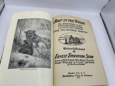 Wolf in the Woods,1925 The Adventures of a BoyScout-Indian Quonab, 200+ Drawings picture