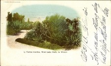 Cactus Garden ~ West Lake Park in Winter ~ Los Angeles California ~ UDB 1903 picture