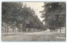 1908 Scenic View South Gratiot Ave Mt Clemens Michigan Antique Vintage Postcard picture