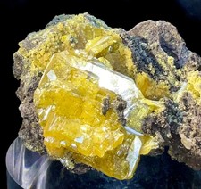 Wulfenite with Mimetite - San Francisco Mine, Cerro Prieto, Sonora, Mexico picture