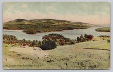 Vintage Postcard Lake Sunapee from Burkhaven Hill, New Hampshire NH 1920 houses picture