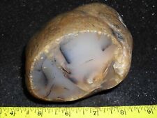 Large MONTANA AGATE faced nodule … good slabber … 2.7 lbs picture