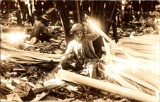 Philippines RPPC Abaca Fiber Worker Mikado Studio Attrib Davao Mindanao Postcard picture