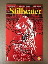 Stillwater #1 (Image Comics 2020) - 1st Print - Chip Zdarsky - NM picture