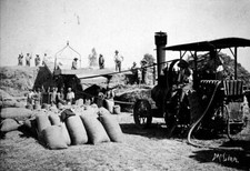 Wangaratta District Victoria 1915 Thresher in operation Old Photo picture