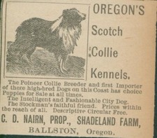1898 C D Nairn Shadeland Farm Ballston Oregon Scotch Collie Kennels Ad RS1 picture
