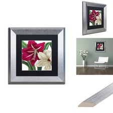 Trademark Fine Art ALI4022-S1111BMF 