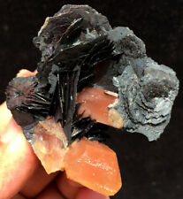 61g Natural Fantastic Skeletal Red Crystal +Specularite Flower Symbiosis ic5400 picture