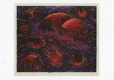 Postcard Louisa Chase 