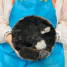 9.76LB Natural Dragon Septarian Geode Grow With Calcite Crystal Mineral Specime picture