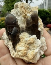 Smoky Quartz W Albite Var. Cleavelandite And Calcite Mt Antero Colorado picture