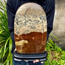 8.64LB Beautiful Natural Chinese Dendritic Limestone Picture Stone Guohua -Rare picture