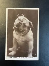 Antique British Postcard Bulldog Oh Dear I Feel so Queer 1907? Rotary Photo picture