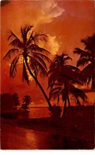 wedding Florida beautiful chic tropical bride groom ceremony reception Postcard picture
