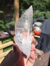 Colombian Lemurian  picture