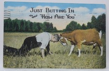 Vintage Linen Postcard Just Butting In To Ask How You Are Man Goat Comic 1940s picture