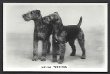 PATTREIOUEX (OTHER) - DOGS - #47 WELSH TERRIERS picture