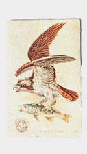 1898 (J2) #30 Osprey Fish-Hawk, Arm & Hammer New Series Beautiful Birds picture