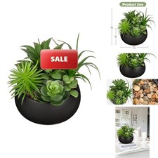 Hollyone Artificial Succulents in Black Ceramic Planter Bowl picture
