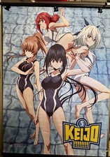 Keijo Series Anime Rare Banner GEE Crunchy Roll Wall Scroll 31x42 picture