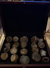 Geode Lot of 20 Put Together In The 1960’s With Beautiful Case picture