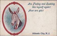 Postcard Am Feeling and Looking Like Myself Again Atlantic City NJ Donkey 1914 picture