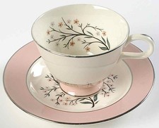 Homer Laughlin Springtime Cup & Saucer 225511 picture