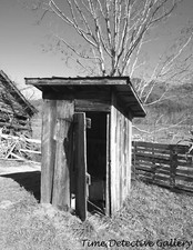 An Outhouse - Vintage Photo Print picture