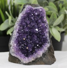 HUGE Uruguayan Amethyst Cut Base Clusters 1–1.8 lb 'A' Grade Free Standing picture