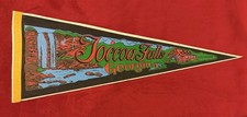 Vintage Toccoa Falls Georgia 29.5 Inch Travel Pennant Gate Cottage picture