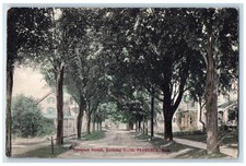 Prospect Street Looking North Tree-lined Florence  Massachusetts MA Postcard picture