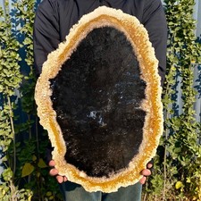 6.15LB Large Natural Petrified Wood Crystal Fossil Slice Shape Specimen Healing picture