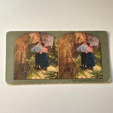 Caught In The Glen Ramble Young Couple Near Trees Antique Stereoview Card 5H6-3 picture