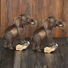 2-PC Gift Set 5.5