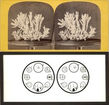 18 Stereoviews Coralle Effects 3 D Wonder Lot 1 picture