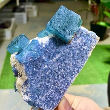 248G  Natural transparent green cubic fluorite mineral crystal sample picture