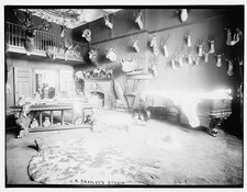 Photo:J.R. Bradley Studio with Animal Trophies and Mounted Heads picture