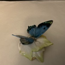 Hutschenreuther Blue Porcelain Monarch Butterfly, 1960’s, Germany, Numbered picture