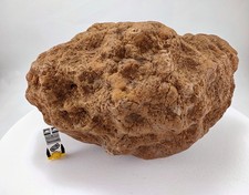 8.75