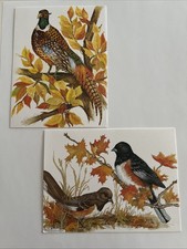 Vintage John Cornacchio Bird Art (2) Blank Notecards Towhee Ring Necked Pheasant picture
