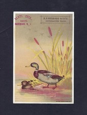 c1890 Advertising Trade Card, R.D. Hubbard & Co. Superlative Flour, Ducks picture