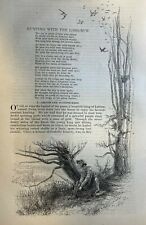 1877 Bow and Arrow Hunting With the Long Bow illustrated picture