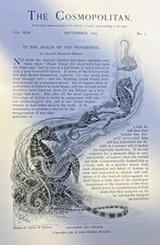 1895 Oceanography Life Under the Sea Ocean Life illustrated picture