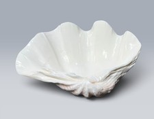 Authentic Vintage Fluted Giant Clam Shell Bowl 9