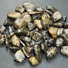 Stromatolite Fossil Tumbled Stones (By The Piece or Pound) Peru Mineral picture
