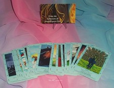 Bella Sara Northern Lights Single Rare Card picture