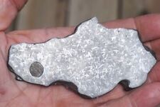 RARE, LARGE 93g ETCHED TAZA IRON METEORITE FULL SLICE w/ SNOWFLAKE LIKE ETCH picture