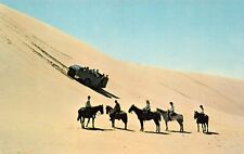 Sand Dunes Frontier Florence OR Oregon Buggy Rides Horse Riding Vtg Postcard D31 picture